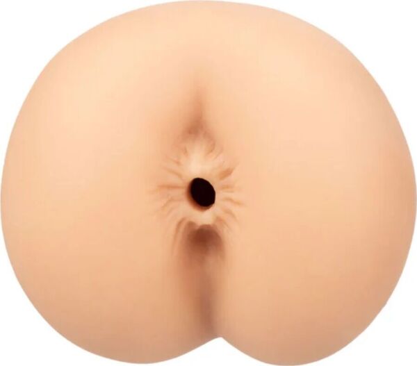 Masturbator Anus CalExotics Boundless Anus