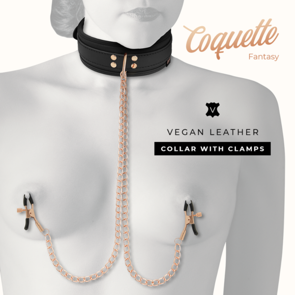 Halsband mit Nippelklemmen Coquette Chic Desire, mit den zwei Nippelklemmen an Ketten und der Leine