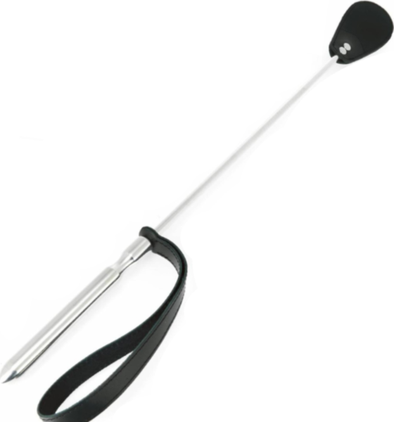Reitgerte Metal Hard mit polierter Stange und ovaler Lederspitze