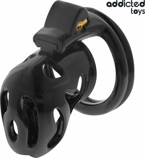 Keuschheitskäfig Addicted Toys Locked 8 cm mit seinen vier Ringen und den Schlüsseln