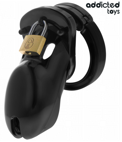 Peniskäfig Addicted Toys Locked