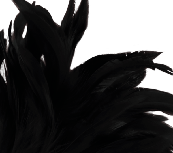 Schwarze Darkness Kitzelfeder mit Griff