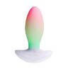 Vibrator Paradise Pleasure Products The Plug mit RGB-Beleuchtung