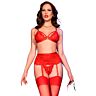 Lingerie Set CHILIROSE CR 4895 mit 5 Teilen