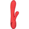 Vibratoren CALEXOTICS PALISADES PASSION ROT mit Teaser