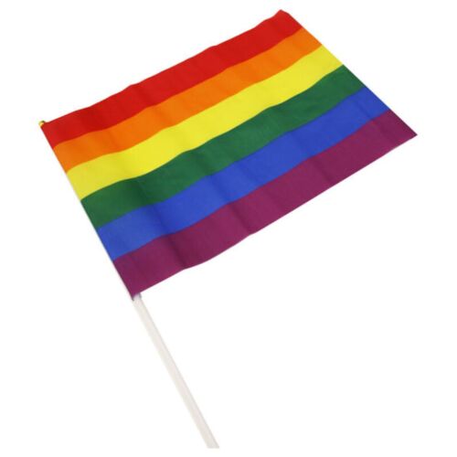 Wimpel Gross PRIDE mit LGBT-Flagge für Feiern