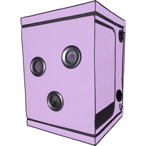 BDSM Artikel SECRET DOME KINK CLUB CABINA SCANDALE