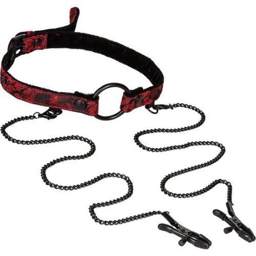 Mordaza mit Pinzen Scandal für aufregendes Bondage