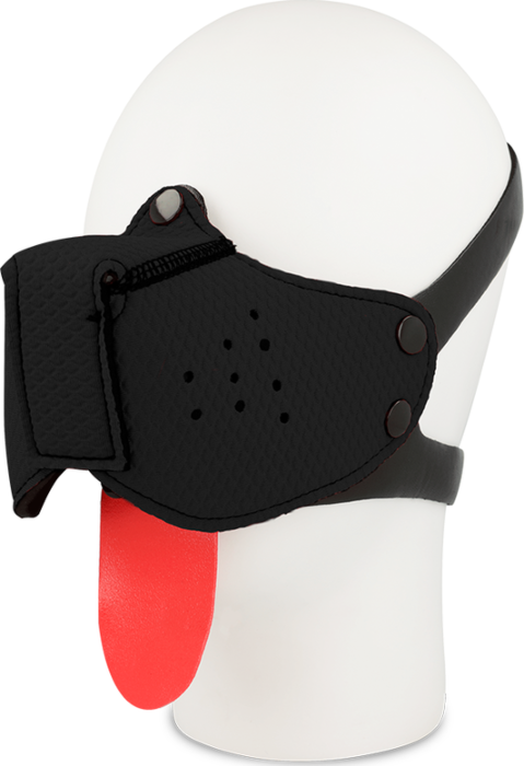 Bozal Canino Obsidiana Bozal Canino Obsidiana