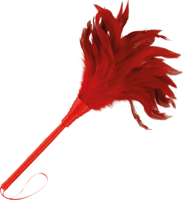 Bondage Spielzeug DARKNESS 24CM mit einzigartigen Federn Bondage Spielzeug DARKNESS 24CM mit einzigartigen Federn