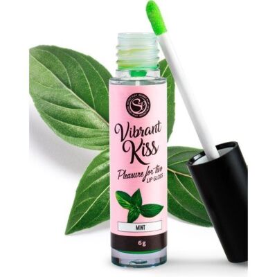 Glanz Lipgloss Frische Minze